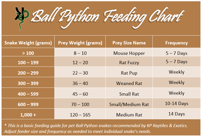 Snake Food Chart Size at Mattie Hines blog