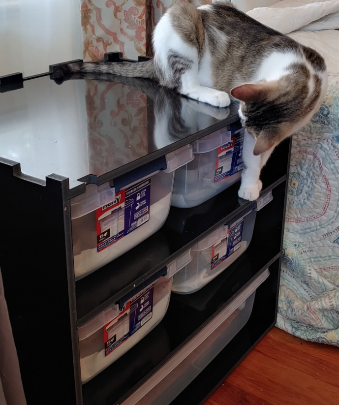 cat and snack rack