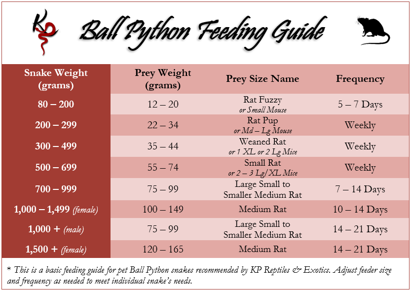 Ball Python Weight Chart